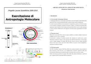 Esercitazione di Antropologia Molecolare