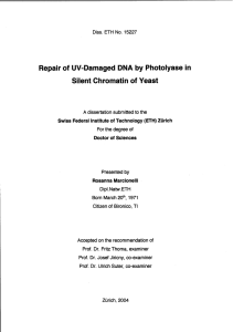 Repair of UV-Damaged DNA by Photolyase in - ETH E