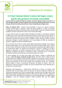 In Friuli Venezia Giulia il valore del legno cresce