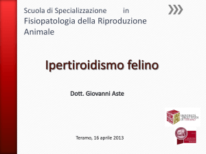 Ipertiroidismo felino_SSpFPR_2013 - Progetto e