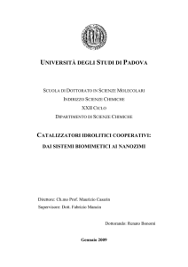 Documento PDF (Tesi di Dottorato Renato