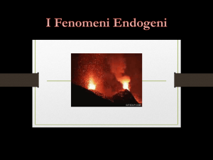 I Fenomeni Endogeni - Il Sito della Prof