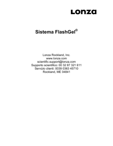 Sistema FlashGel