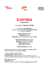 Ts_Macelleria Ettore_ELEKTRIKA_2012