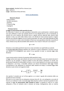 Relazione di laboratorio di Matilde Delpio e Arianna Luise 3 G 16/1