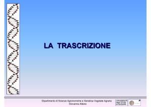 la trascrizione - Associazione Studenti di Agraria IAAS Sassari