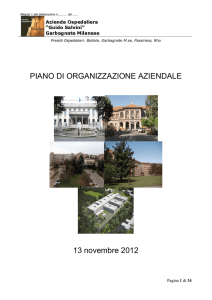 PIANO DI ORGANIZZAZIONE AZIENDALE 13 novembre 2012