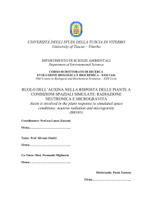 UNIVERSITÀ DEGLI STUDI DELLA TUSCIA DI VITERBO University