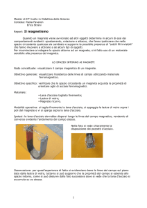 Il magnetismo - Sezione di Fisica