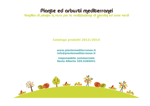 Catalogo prodotti 2013/2014 - Piante ed arbusti mediterranei