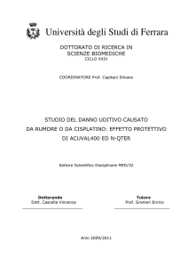 Università degli Studi di Ferrara