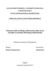 Valutazione della morfologia e della funzione della valvola