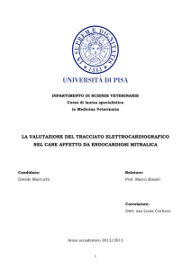 la valutazione del tracciato elettrocardiografico nel cane