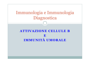 Attivazione B e Immunità Umorale