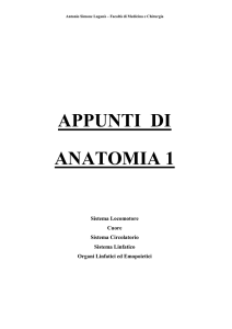 Appunti Anatomia1