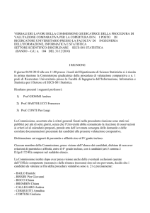 verbali dei lavori della commissione giudicatrice della procedura di