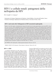 patogenesi della nefropatia da HIV