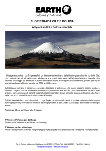 Programma Fuoristrada Cile e Bolivia
