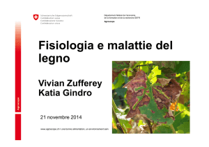 21 novembre 2014 Vivian Zufferey - Italiano