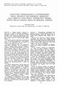 caratteri mineralogici e petrografici degli xenoliti metamorfici