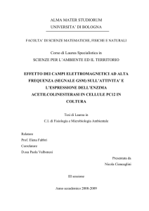 - AMS Tesi di Laurea