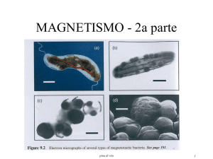 Magnetismo2