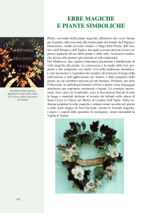 erbe magiche e piante simboliche - Ecomuseo Valli Oglio