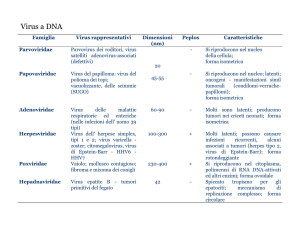 Virus-spec - Sezione di Microbiologia