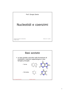 Nucleotidi e coenzimi