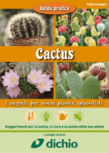 Guida cactus Dichio