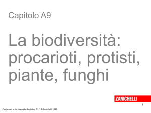 La biodiversità/ procarioti, protisti, piante, funghi