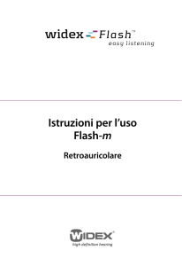Istruzioni per l`uso Flash-m