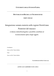 Visualizza/apri