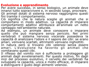 Evoluzione e apprendimento • Per avere successo, in senso