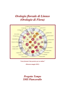 OROLOGIO - Scuola Media di Piancavallo