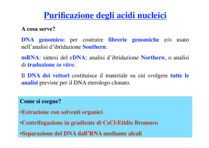 Slide1 x Biosanitario.pptx - biomol.it
