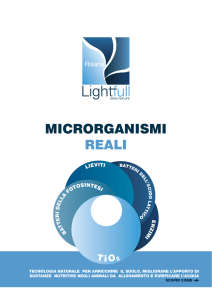 MICRORGANISMI REALI - light-full
