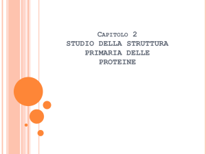 STUDIO DELLA STRUTTURA PRIMARIA DELLE PROTEINE