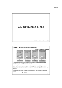 4. duplicazione del DNA - Progetto e