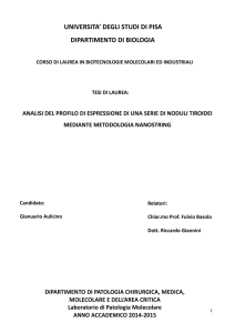 universita` degli studi di pisa dipartimento di biologia