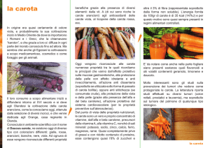 la carota - fimmg alimentazione