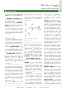 La gravidanza - Zanichelli online per la scuola