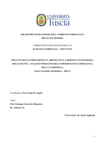1 dipartimento di scienze dell`ambiente forestale e