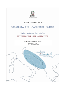 4.2 Mar Adriatico - La strategia marina