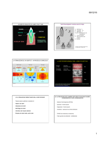 Tooth genetics lezione