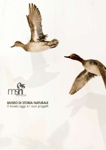 MUSEO DI STORIA NATURALE il museo oggi e i suoi progetti