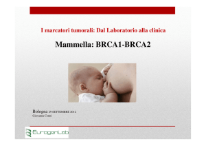 presentation - Laboratorio Caravelli