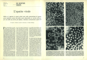 L`epatite virale