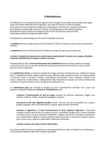 Il Metabolismo - Vita, Salute e Benessere Psicofisico