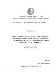 la phytoremediation, una tecnica sostenibile per la